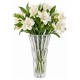 Vaso De Vidro 24cm Adely Decor